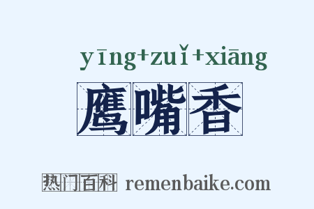 鹰嘴香是什么意思的图片